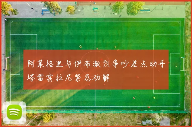 阿莱格里与伊布激烈争吵差点动手塔雷富拉尼紧急劝解
